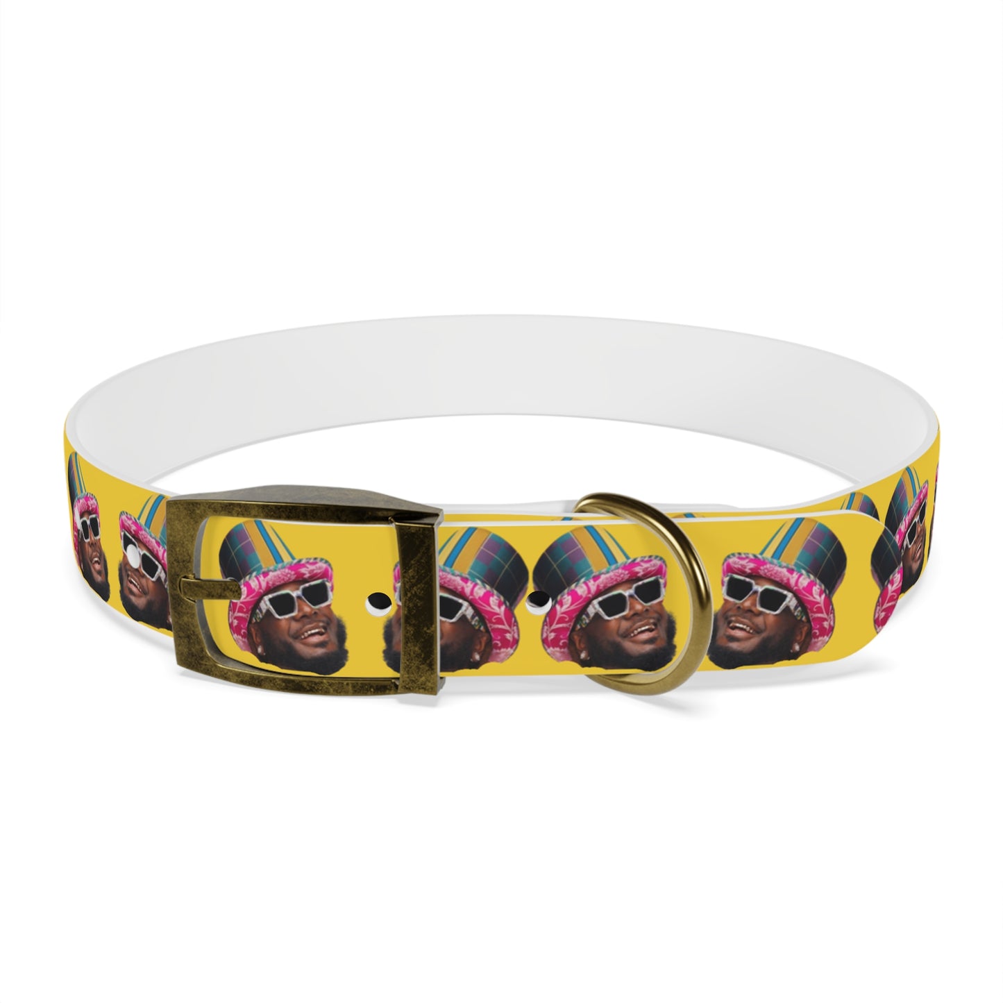 T-Pain Is My Mom Funny Dog or Cat Collar Choose Size and Buckle Finish