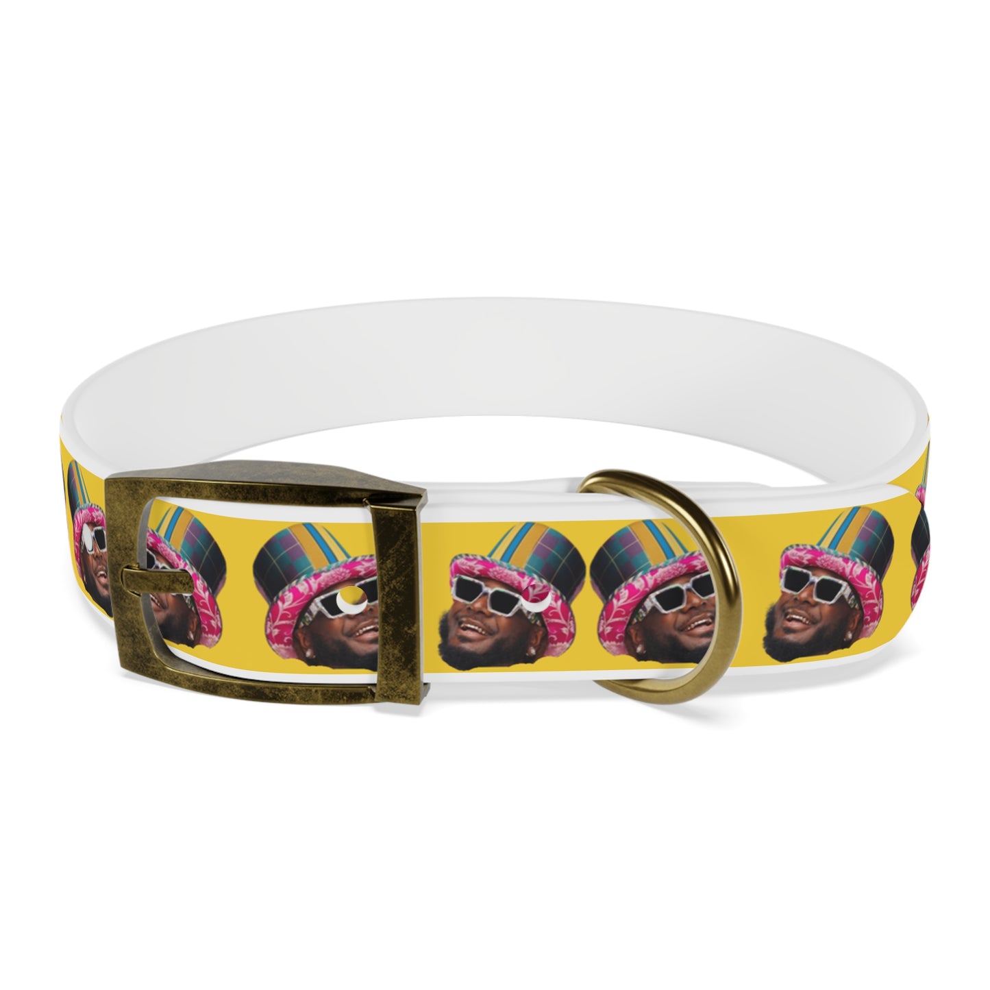 T-Pain Is My Mom Funny Dog or Cat Collar Choose Size and Buckle Finish