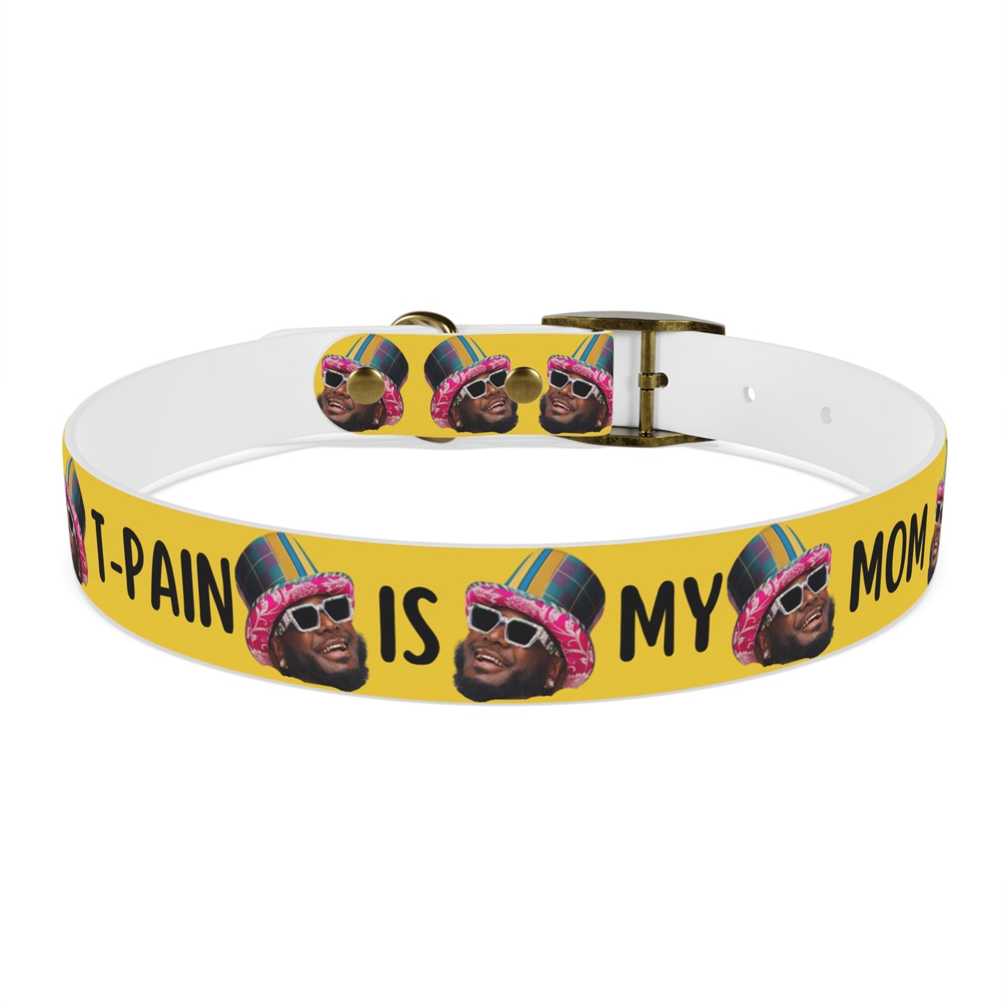 T-Pain Is My Mom Funny Dog or Cat Collar Choose Size and Buckle Finish