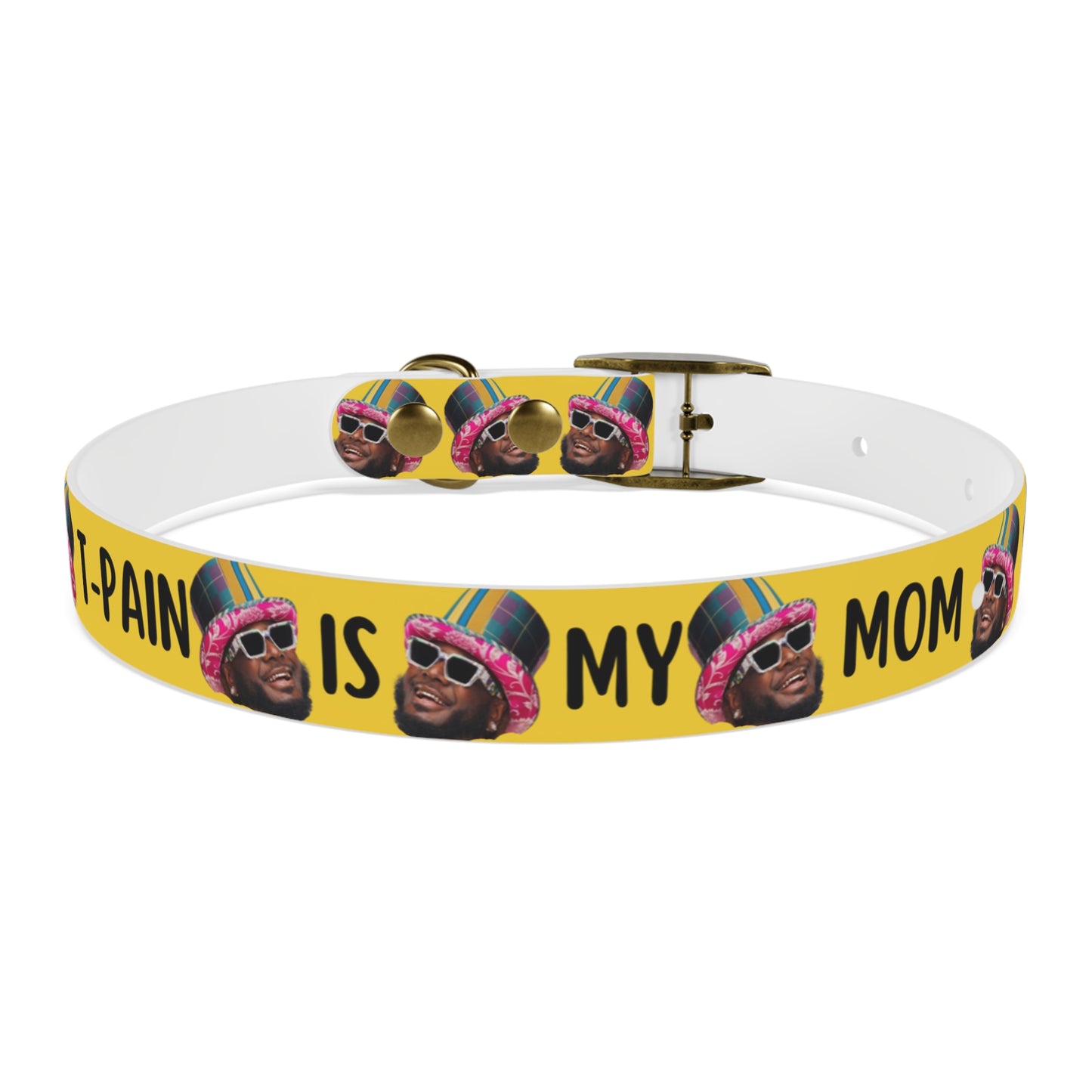 T-Pain Is My Mom Funny Dog or Cat Collar Choose Size and Buckle Finish