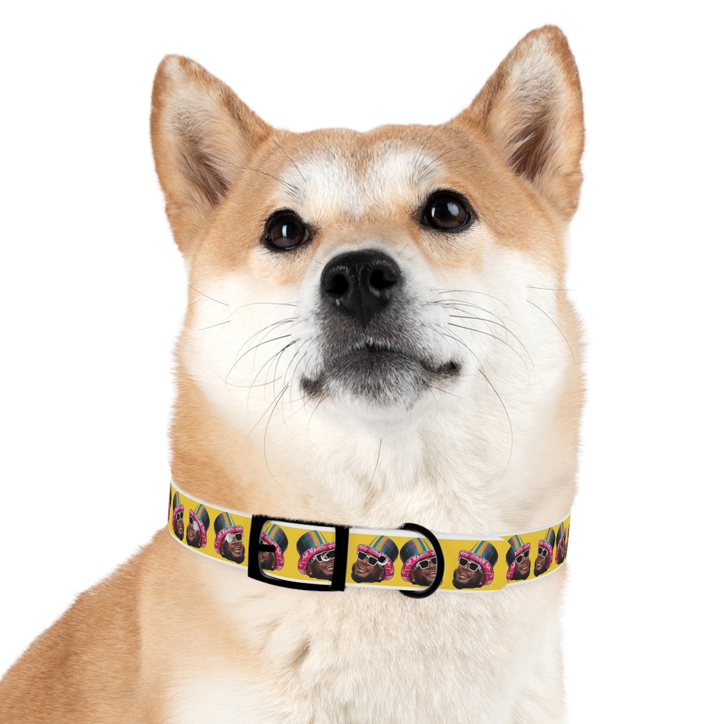 T-Pain Is My Mom Funny Dog or Cat Collar Choose Size and Buckle Finish