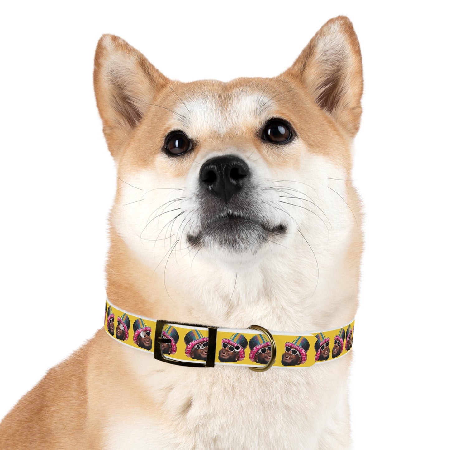 T-Pain Is My Mom Funny Dog or Cat Collar Choose Size and Buckle Finish