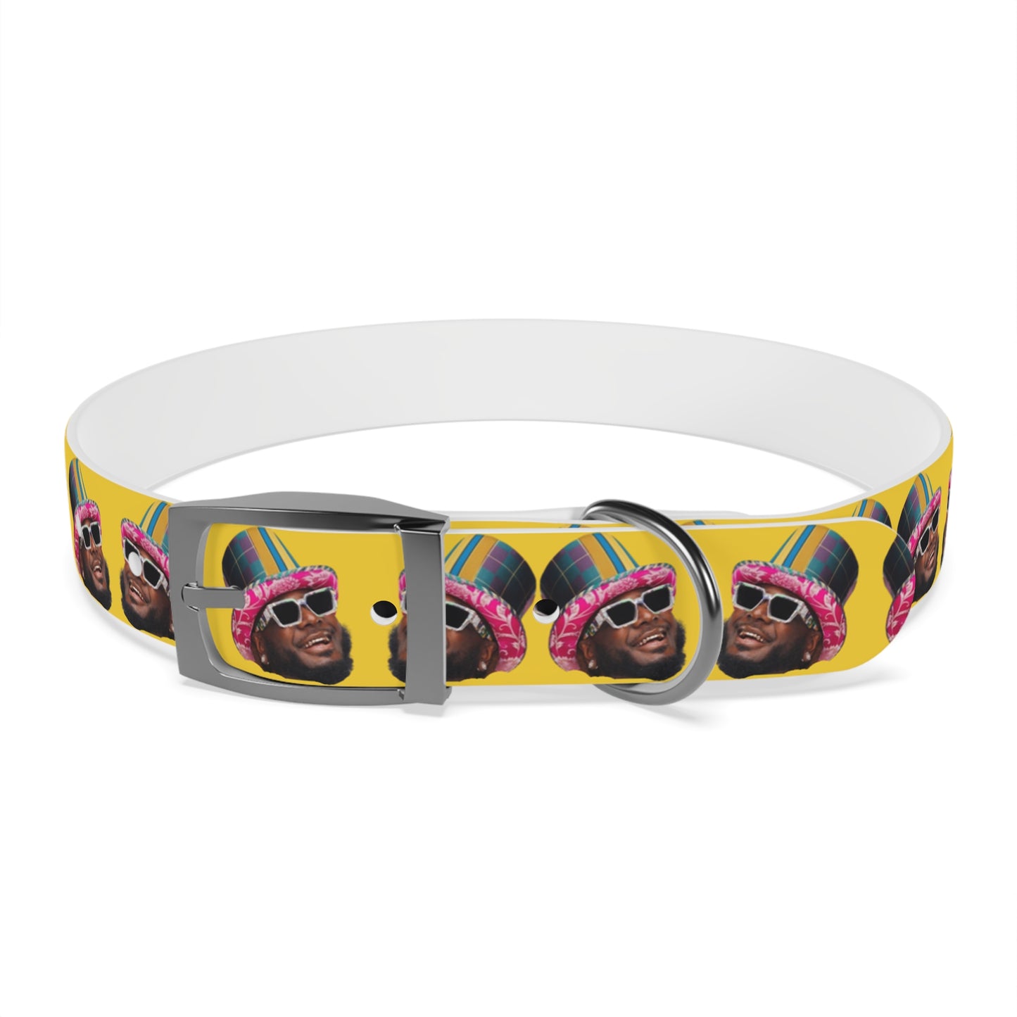 T-Pain Is My Mom Funny Dog or Cat Collar Choose Size and Buckle Finish