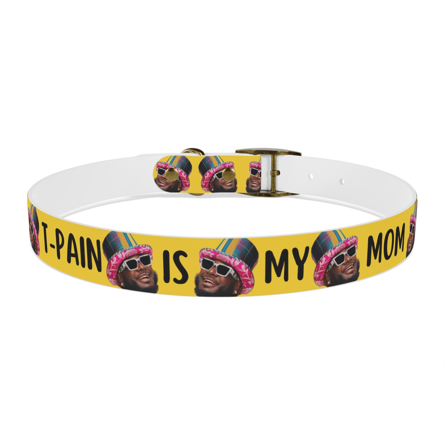 T-Pain Is My Mom Funny Dog or Cat Collar Choose Size and Buckle Finish