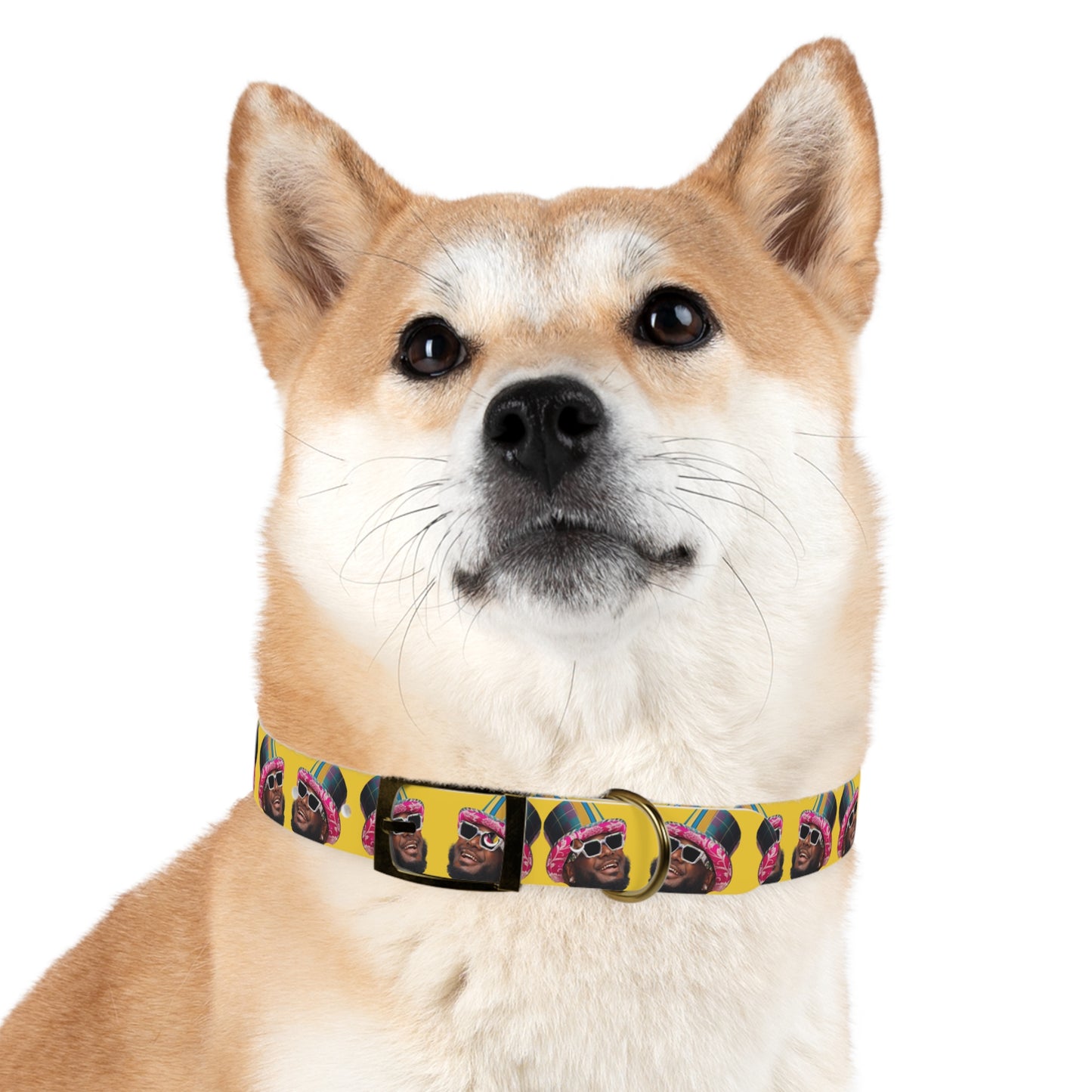 T-Pain Is My Mom Funny Dog or Cat Collar Choose Size and Buckle Finish