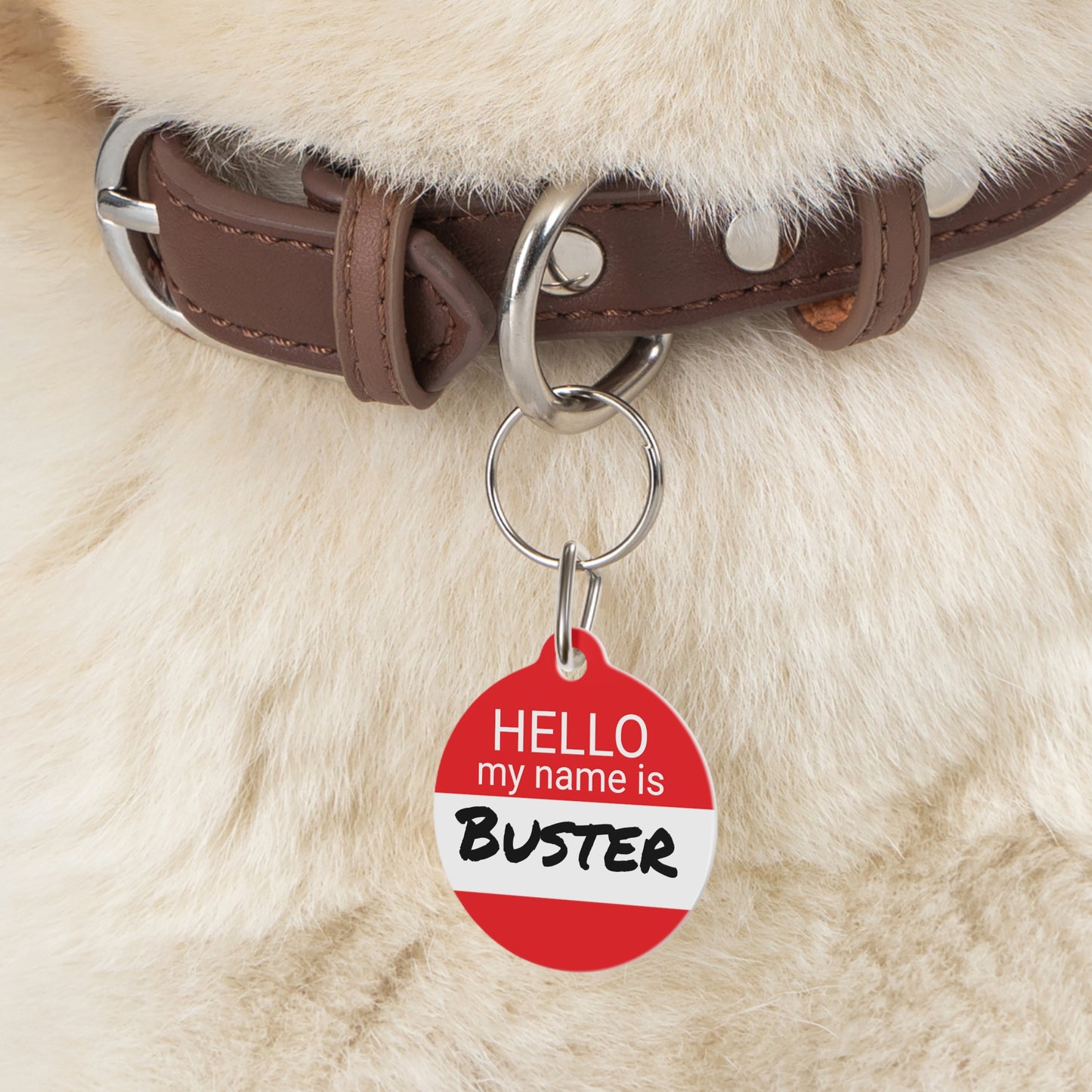 Hello My Name Is Double-Sided Pet ID Tag for Dogs and Cats