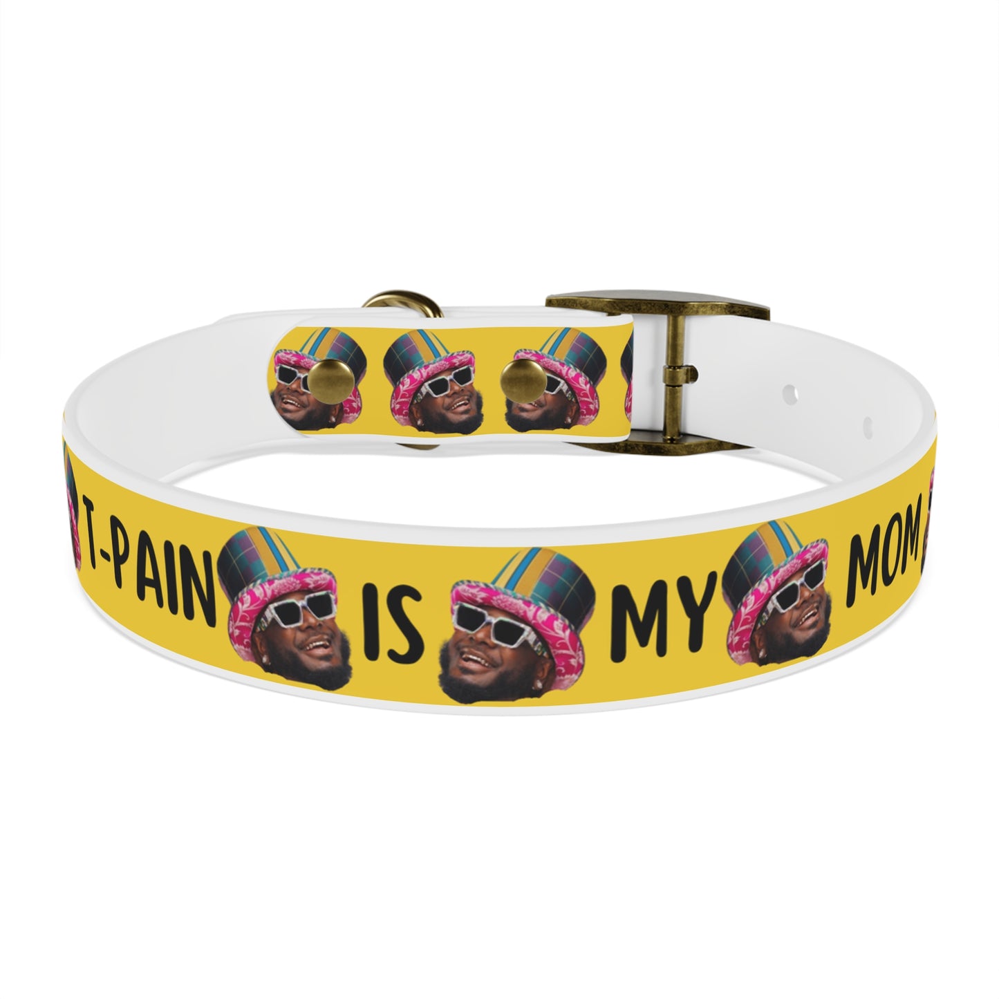 T-Pain Is My Mom Funny Dog or Cat Collar Choose Size and Buckle Finish