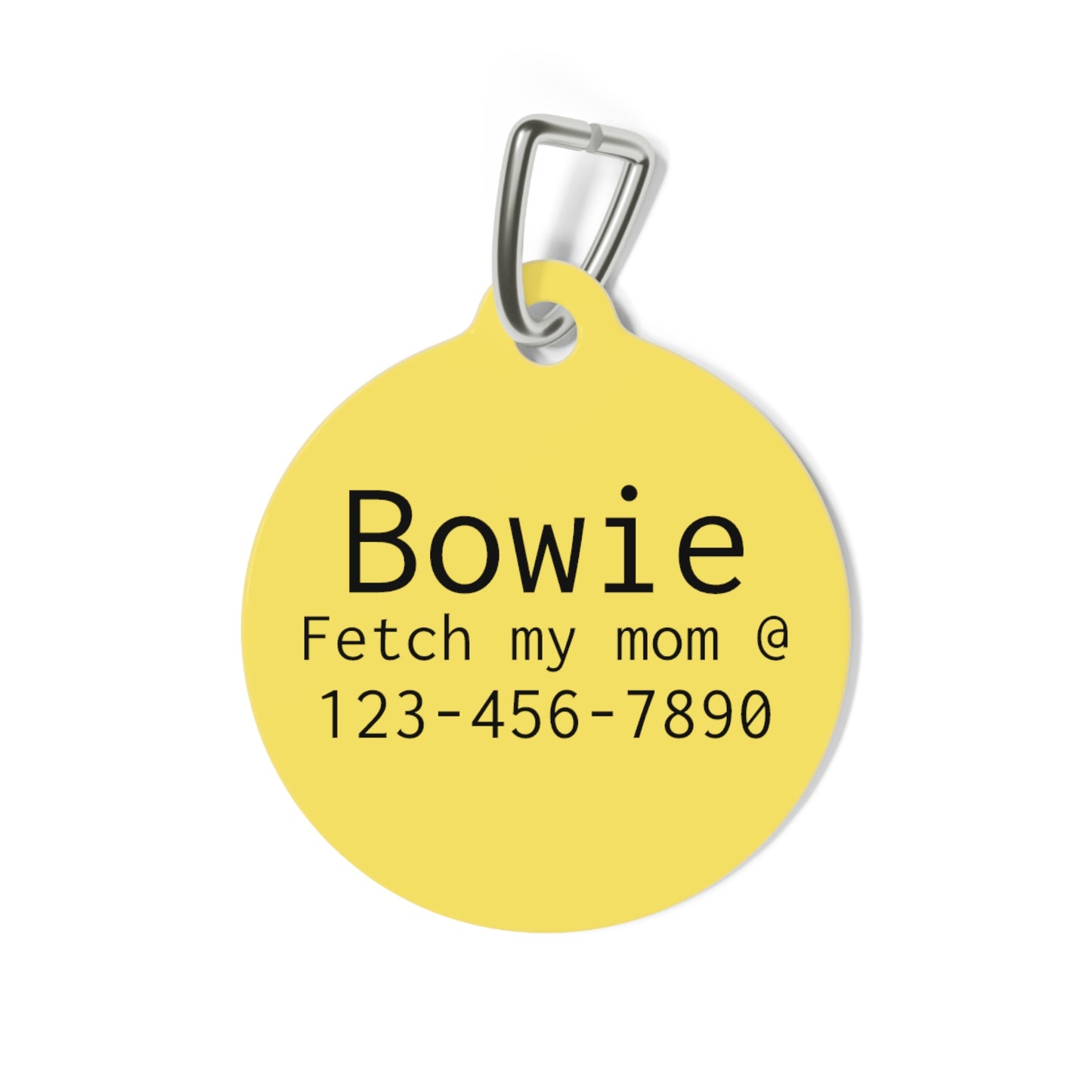 Cheese Tax Collector Double Sided Personalized  Pet Tag Tag