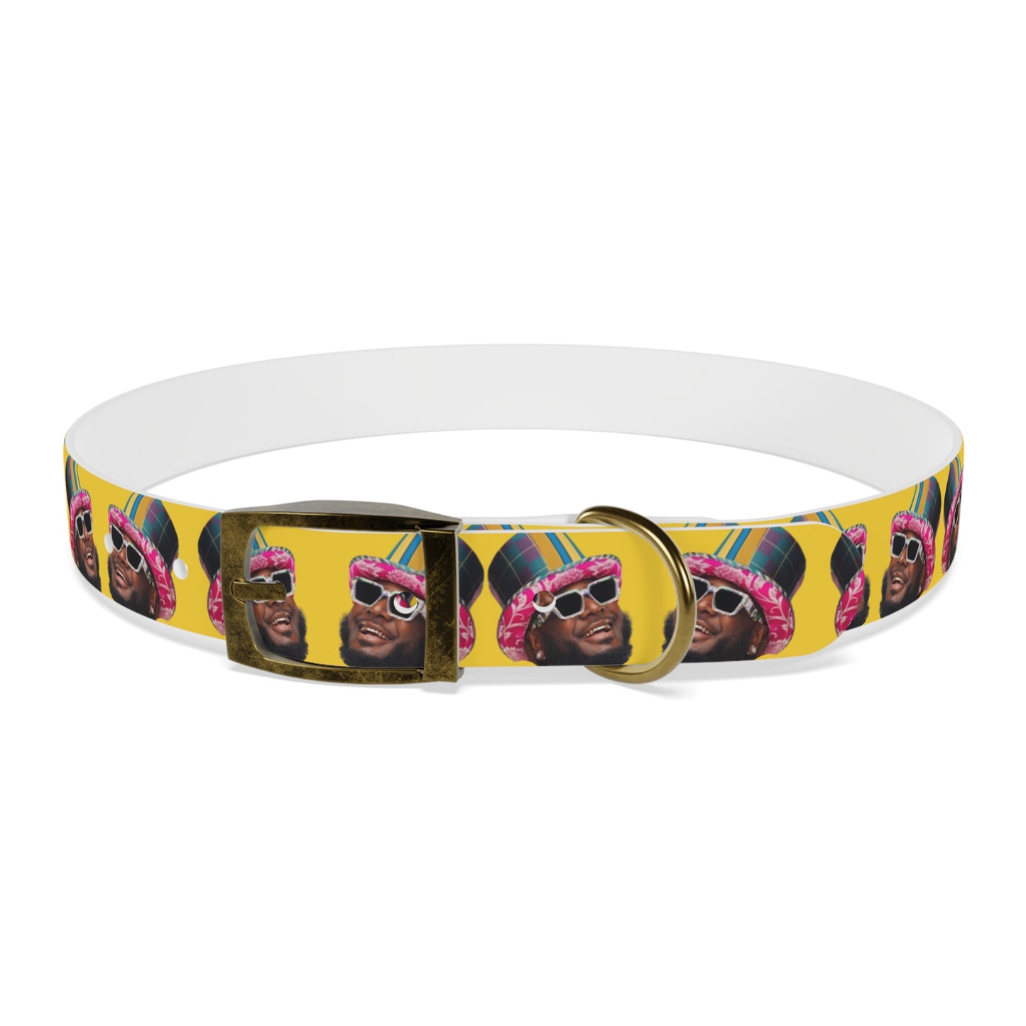 T-Pain Is My Mom Funny Dog or Cat Collar Choose Size and Buckle Finish