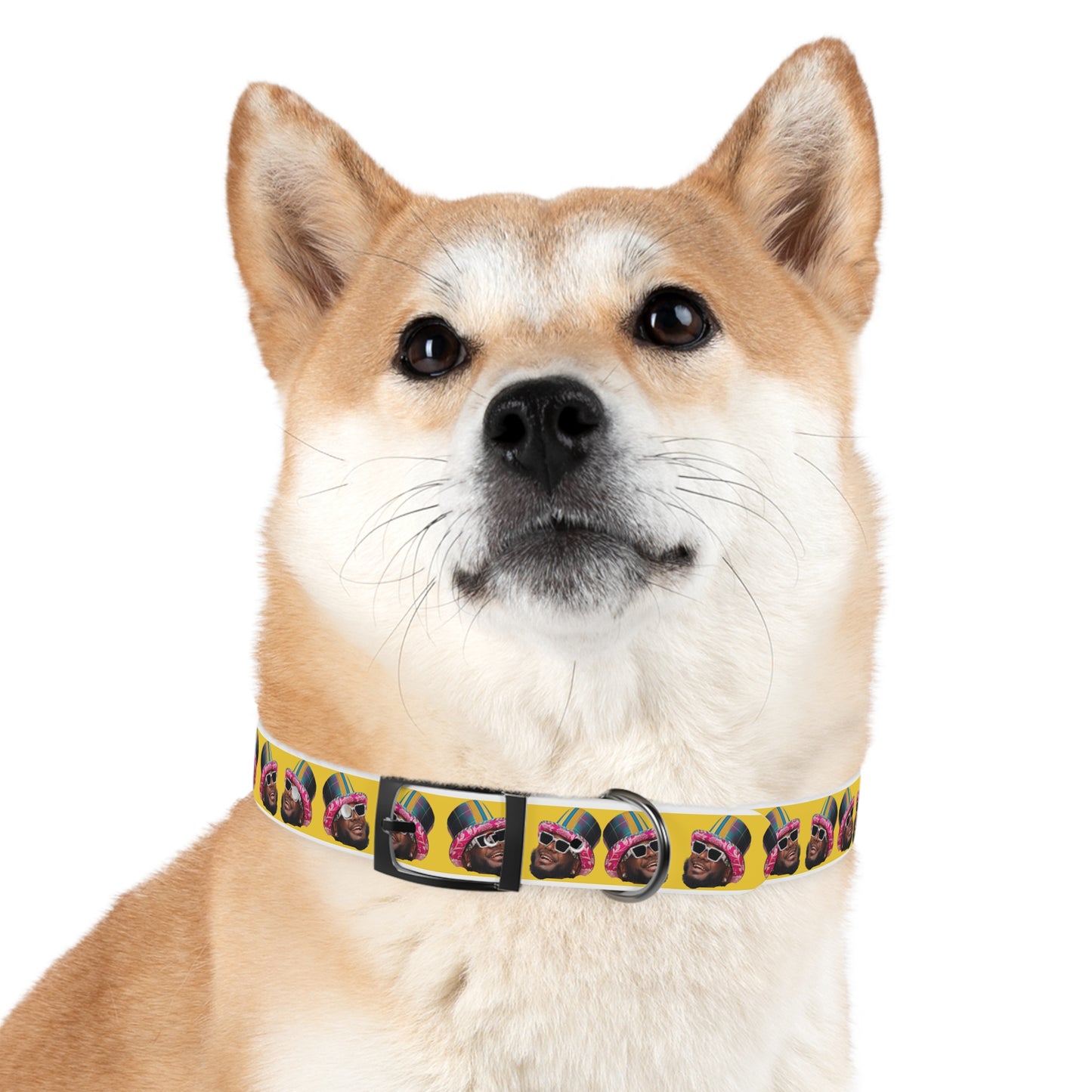 T-Pain Is My Mom Funny Dog or Cat Collar Choose Size and Buckle Finish