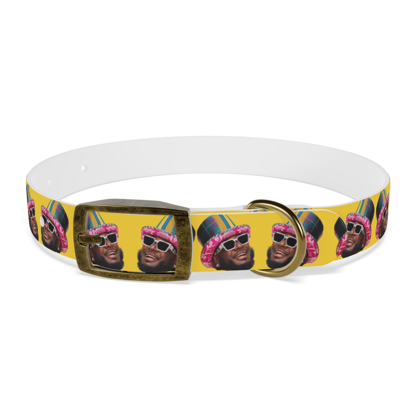 T-Pain Is My Mom Funny Dog or Cat Collar Choose Size and Buckle Finish