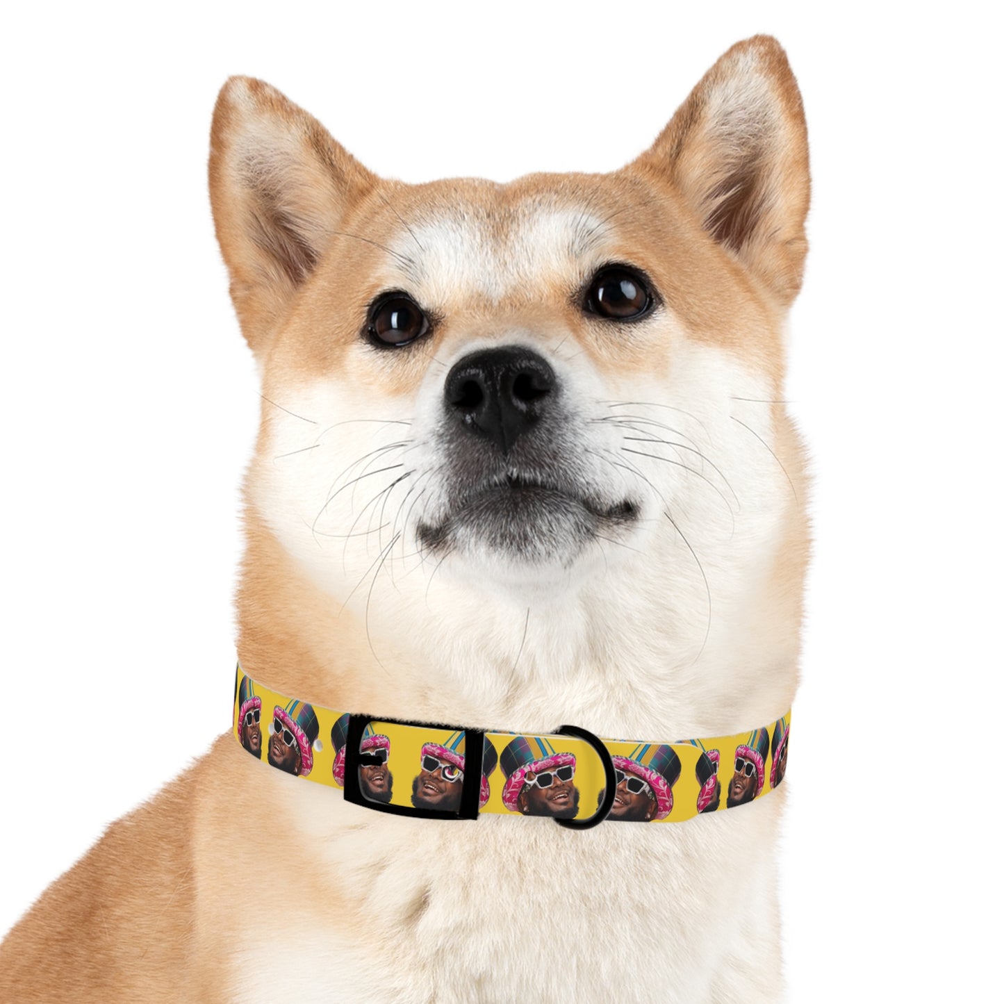 T-Pain Is My Mom Funny Dog or Cat Collar Choose Size and Buckle Finish