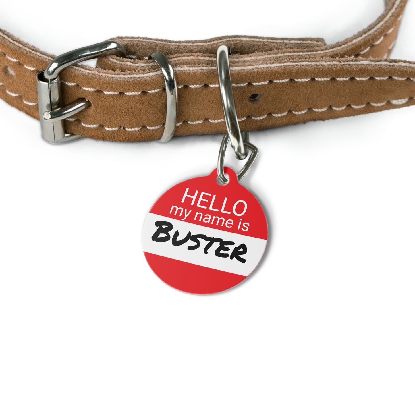 Hello My Name Is Double-Sided Pet ID Tag for Dogs and Cats