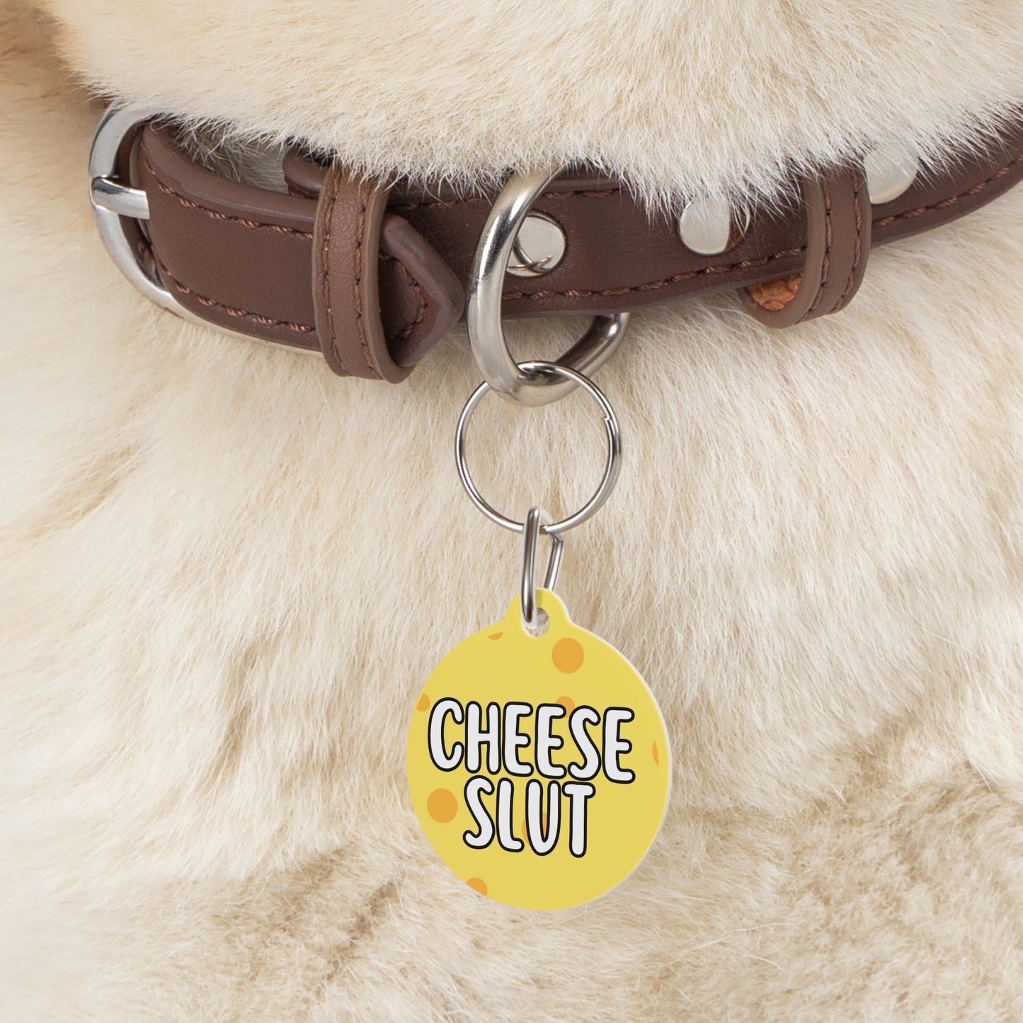 Cheese Slut Personalized  Pet Tag Tag