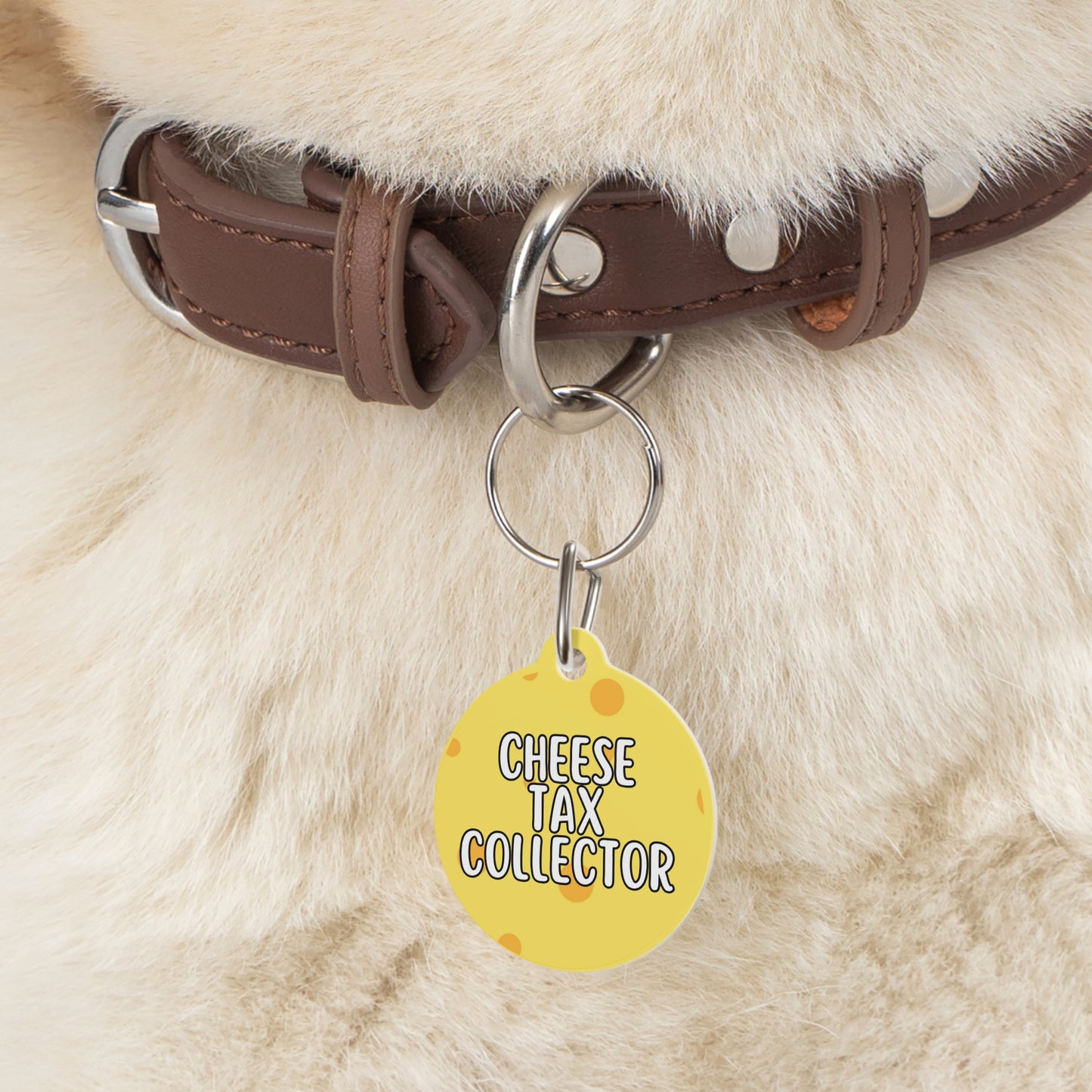 Cheese Tax Collector Double Sided Personalized  Pet Tag Tag