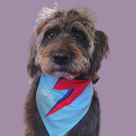 Lightning Bolt Ziggy Stardust Bowie Pet Bandana- 2 Sizes