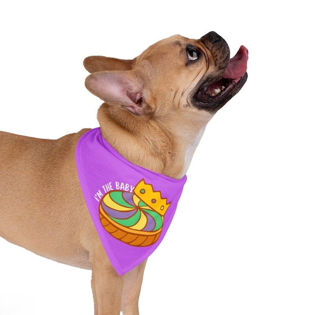 Mardi Gras King Cake Pet Bandana- 2 Sizes